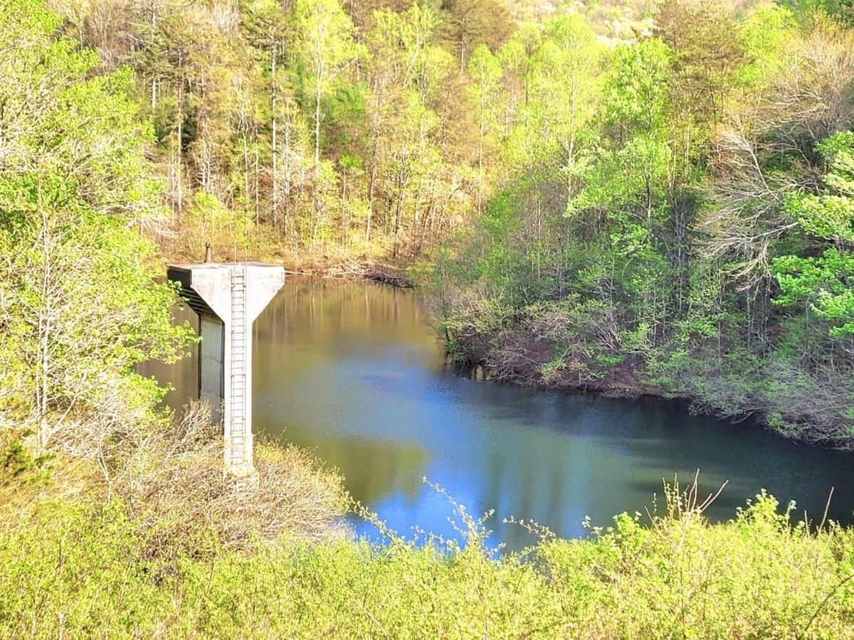 Luxury Cabin With Waterview And Privacy, Hiking Blue Ridge Exterior photo